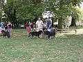 img 083